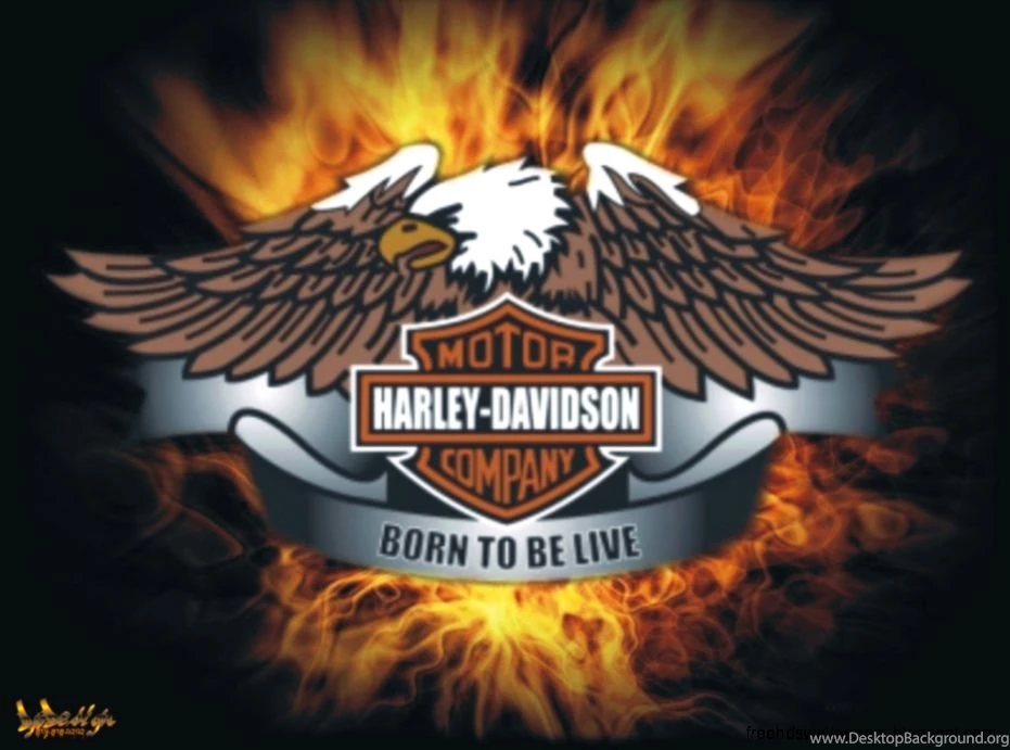 Harley Davidson Live Wallpapers