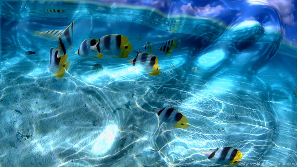 Cool Computer Backrounds – 1920×1200 High Definition Wallpapers ...