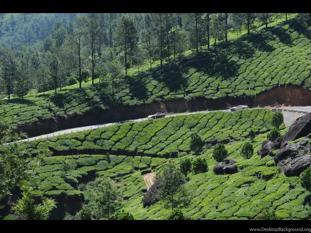 Wallpapers Magic Show Munnar Kerala 1280x960