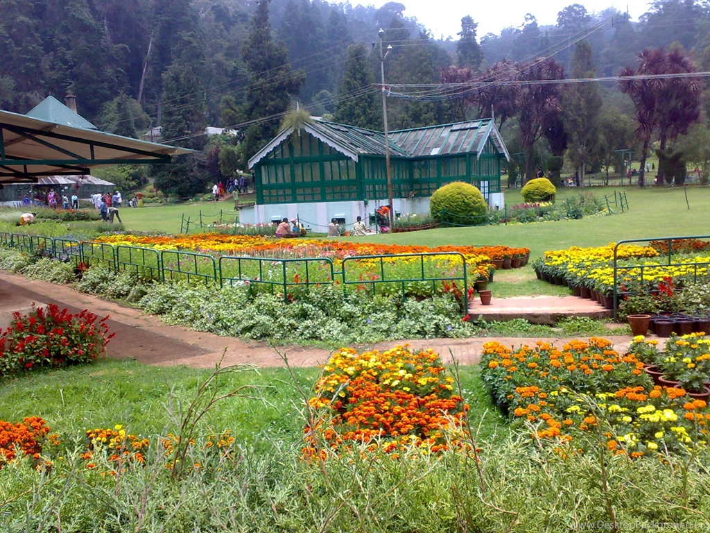 Government Botanical Gardens, Ooty   Wikipedia, The Free Encyclopedia