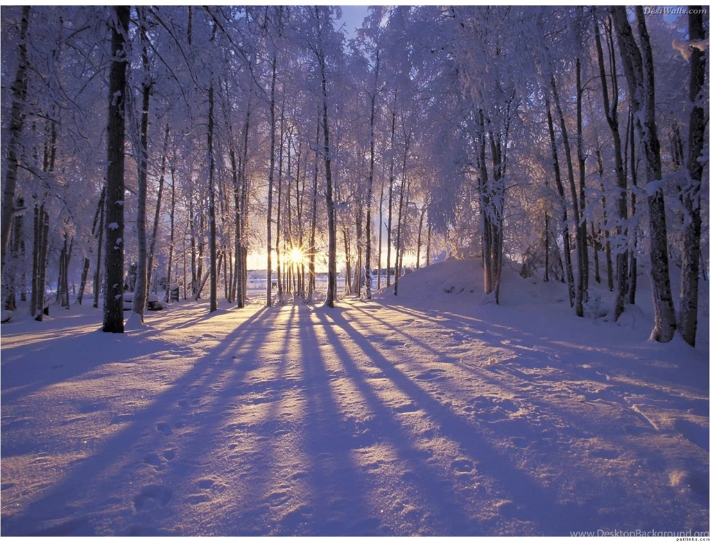 Cool Computer Wallpapers   HD Wallpapers