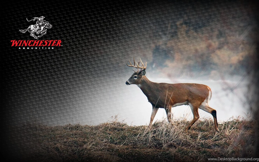 Hunting Wallpapers Collection (44+)