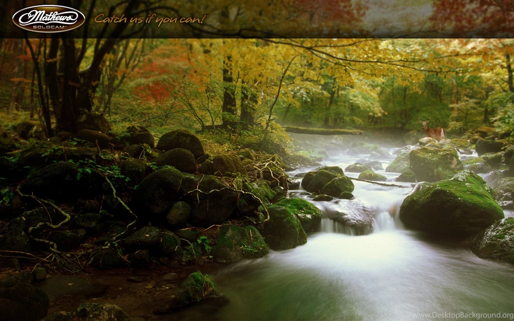 Whitetail, Screensavers, Monster, Stream (