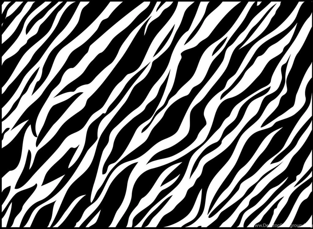 Zebra Wallpapers