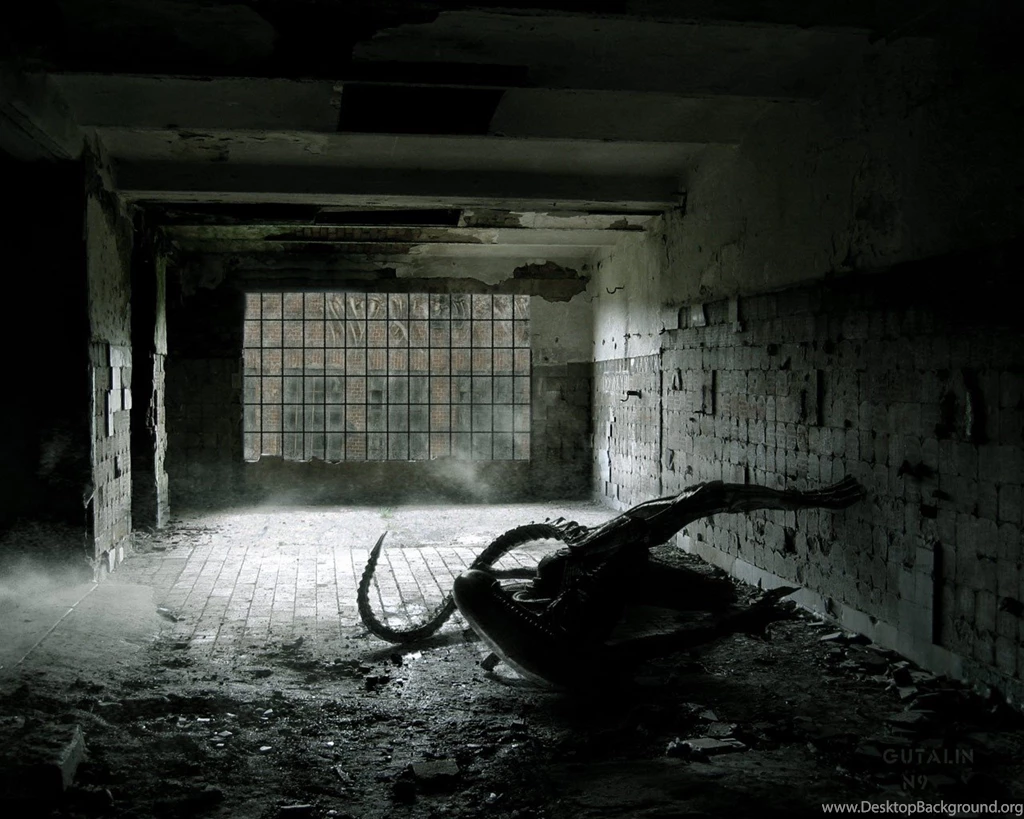 Alien Movie Some New Amazing HD Wallpapers All HD Wallpapers