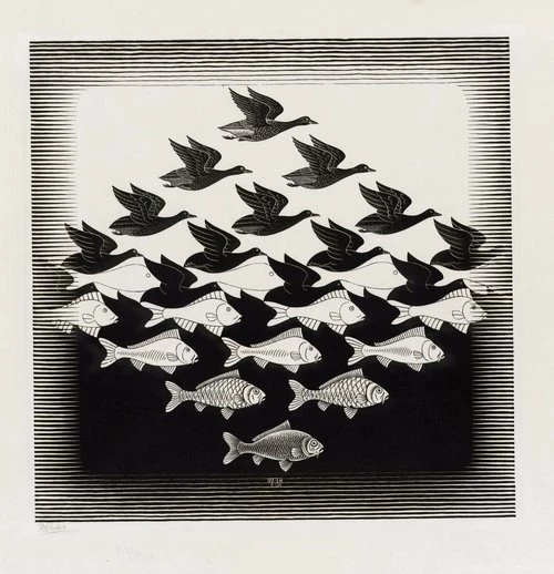 Birds,fish Birds Fish Mc Escher Monochrome Optical Illusions ...
