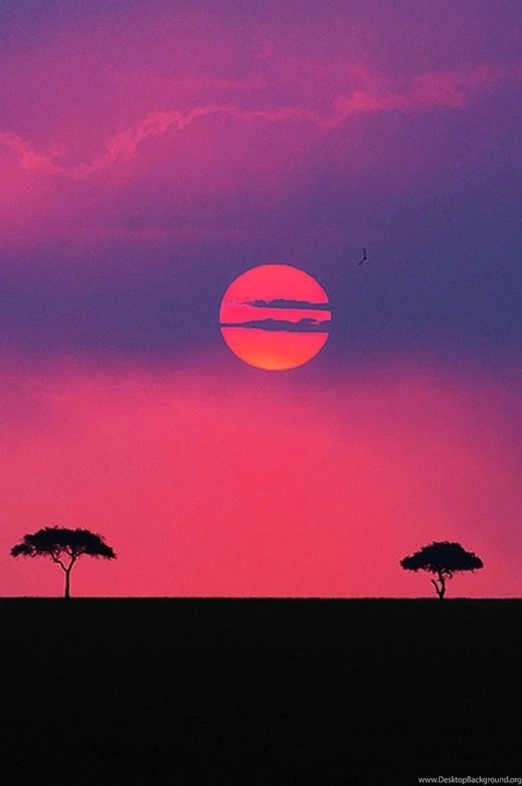 Can Someone Size This For iPhone 5 Please? : IWallpapers