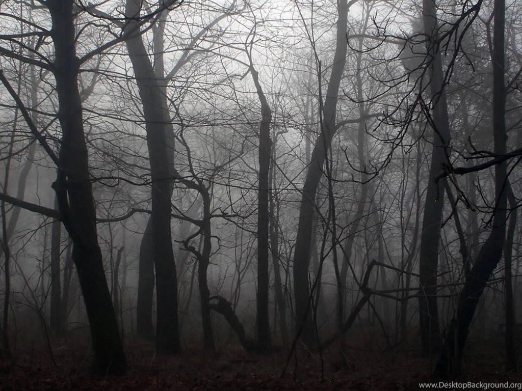 Forest Black And White