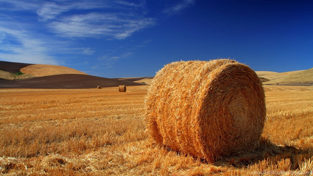 Download Free Modern Free Country The Wallpapers 1920x1080