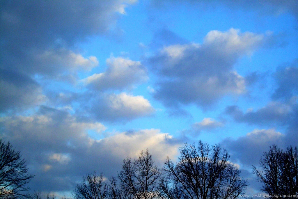 Late Winter Skies By ChezSMS12345 On DeviantArt