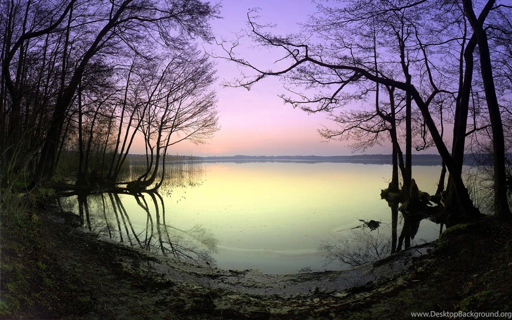 Late Autumn Lake / 1920 X 1200 / Nature / Photography
