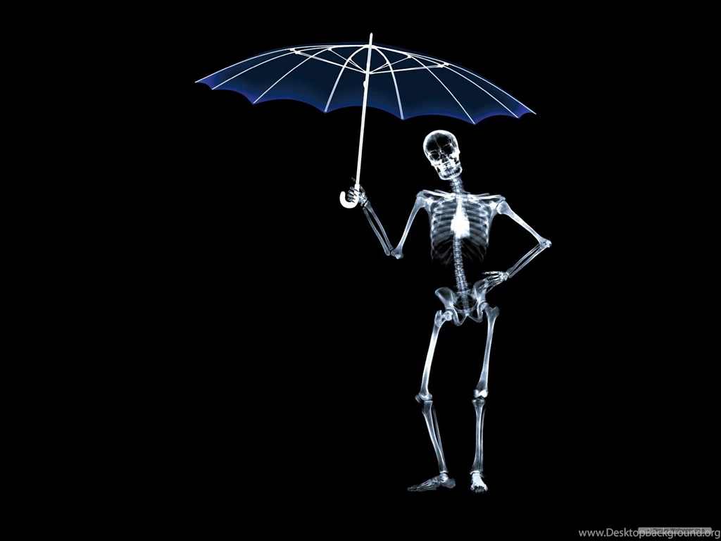 X ray Wallpapers Wallpapers Zone