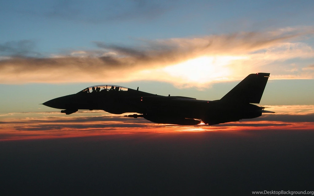 49 Grumman F 14 Tomcat HD Wallpapers