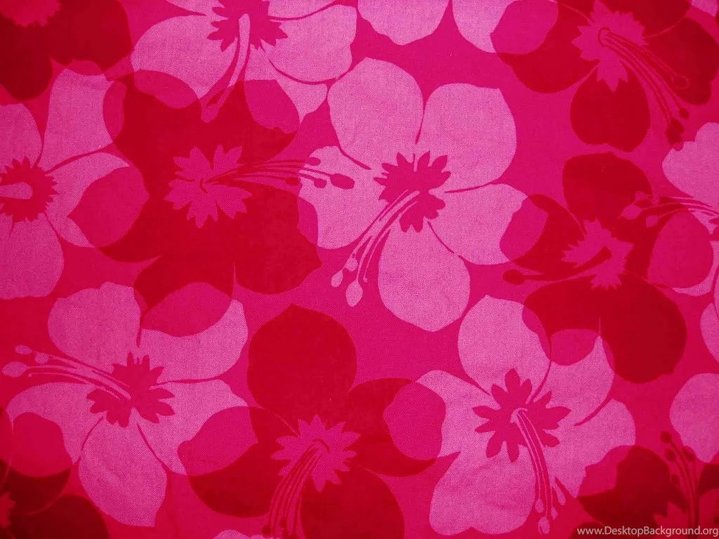 Pretty Pink Flower Desktop