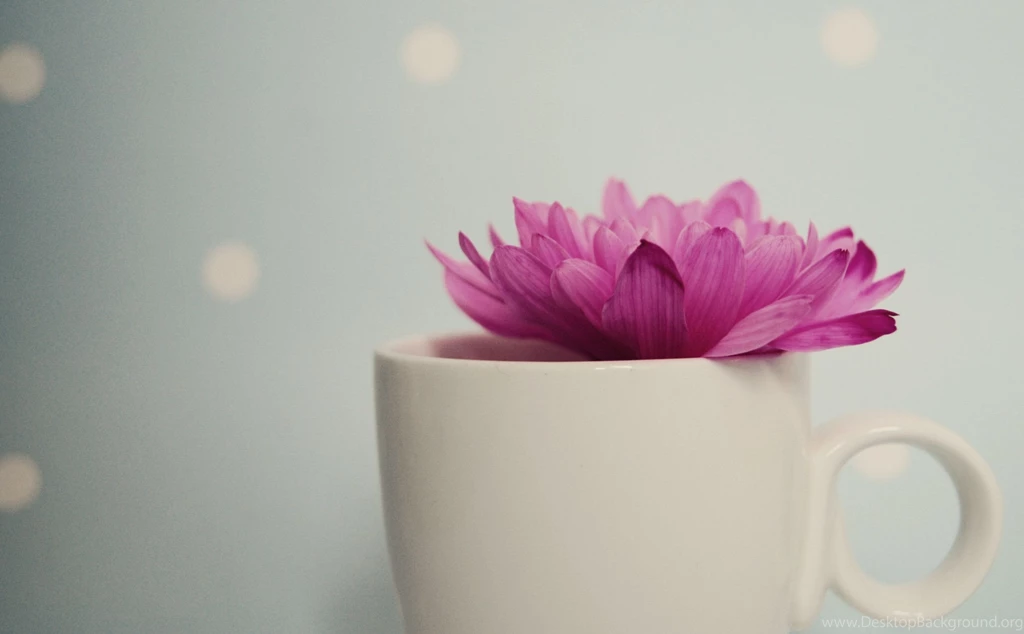 Pretty Pink Wallpapers Wallpapers Cave
