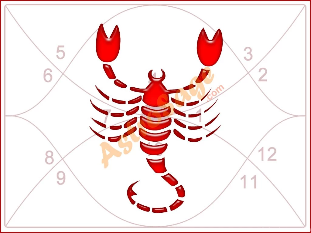 Zodiac Signs Scorpio