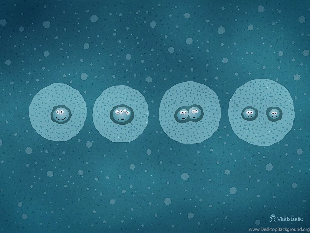 Cell Division · Desktop Wallpapers · Vladstudio