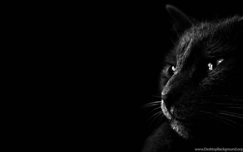 Black Emotion Wallpapers Pack By LorenzoDiFolco On DeviantArt