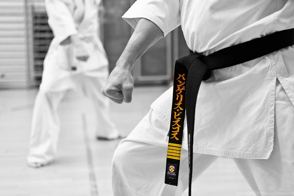 Magnificent Karate Wallpapers