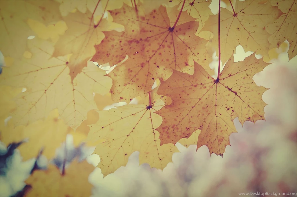 Vintage Fall Backgrounds With Quotes. QuotesGram