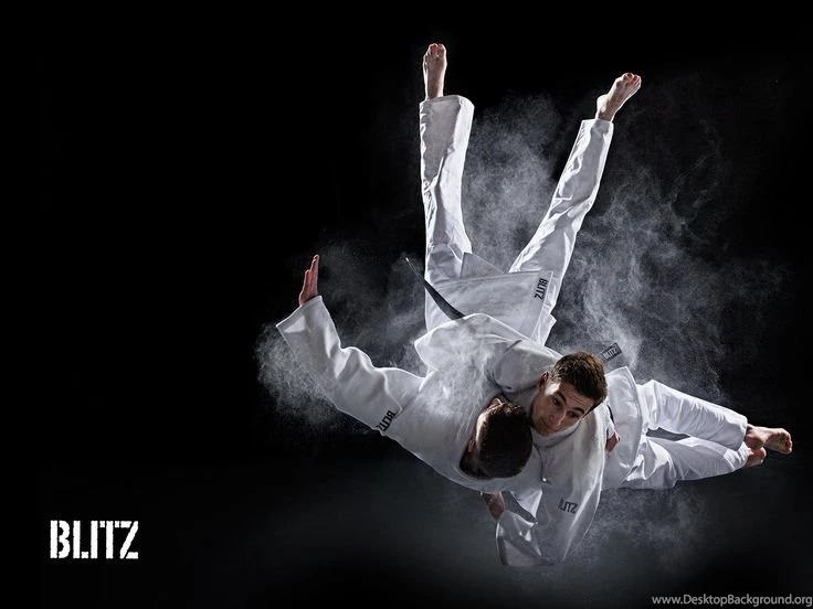 Blitz Judo Wallpapers (1920 X 1440)