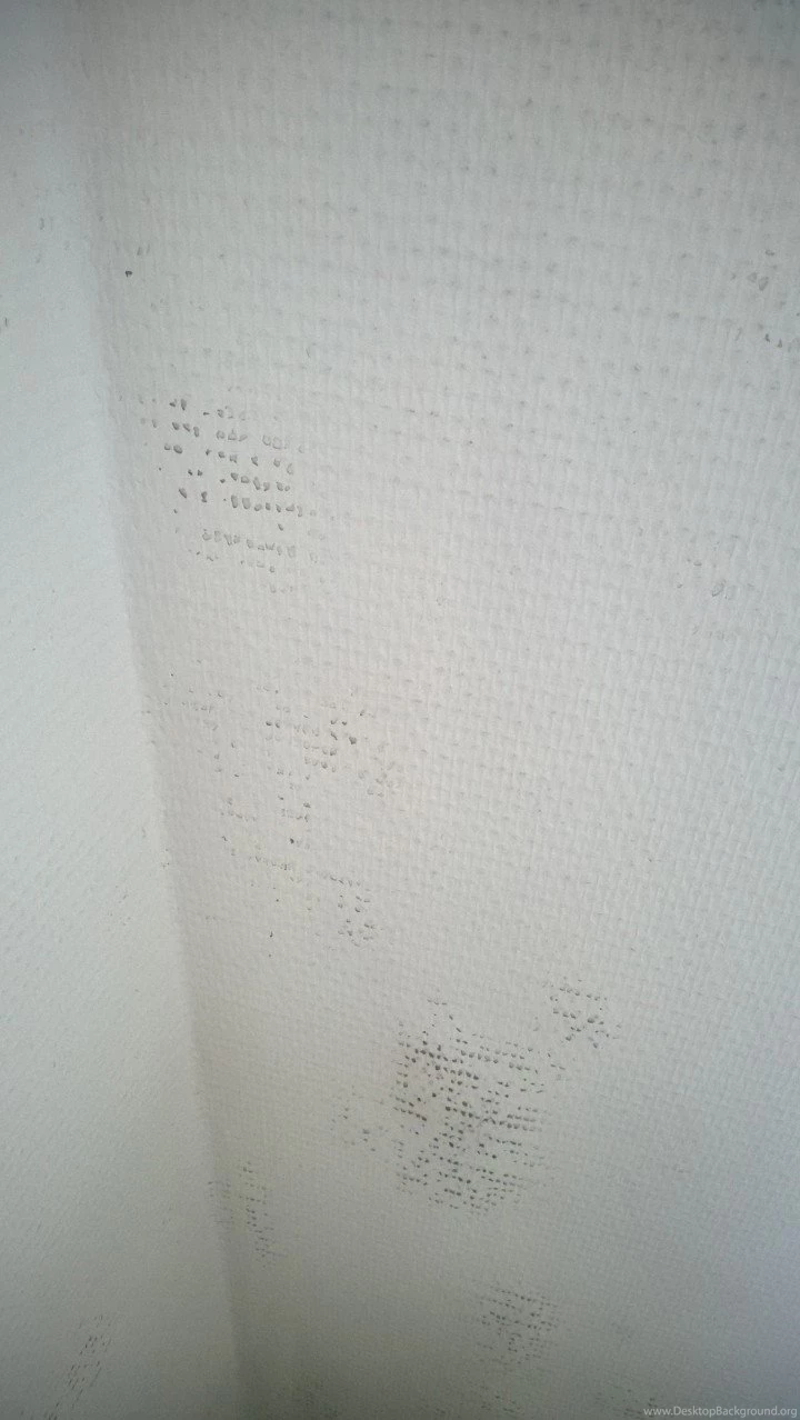 Walls How Can I Repair Fiberglass Wallpapers With Holes In It ...