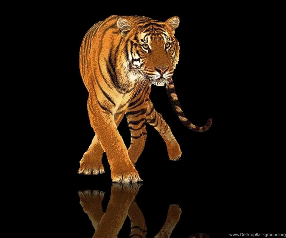 960x800 Mobile Phone Wallpapers Download 38 960x800 ...