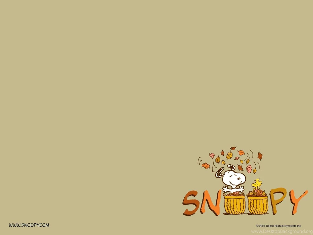 Peanuts Thanksgiving Wallpapers Wallpapers Cave