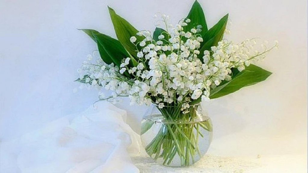 Lily Of The Valley Wallpapers   (