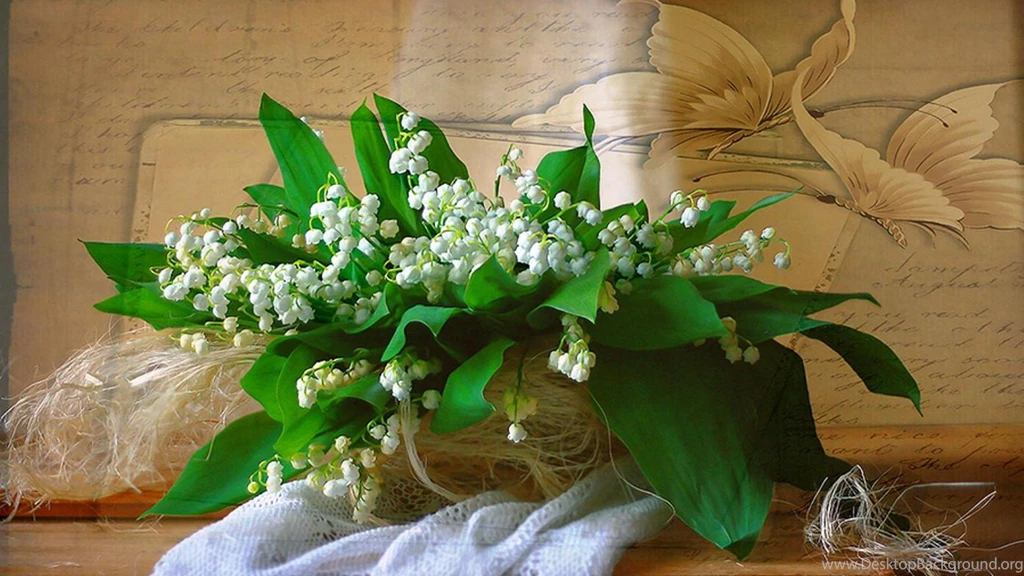 LILY OF THE VALLEY WALLPAPER   (