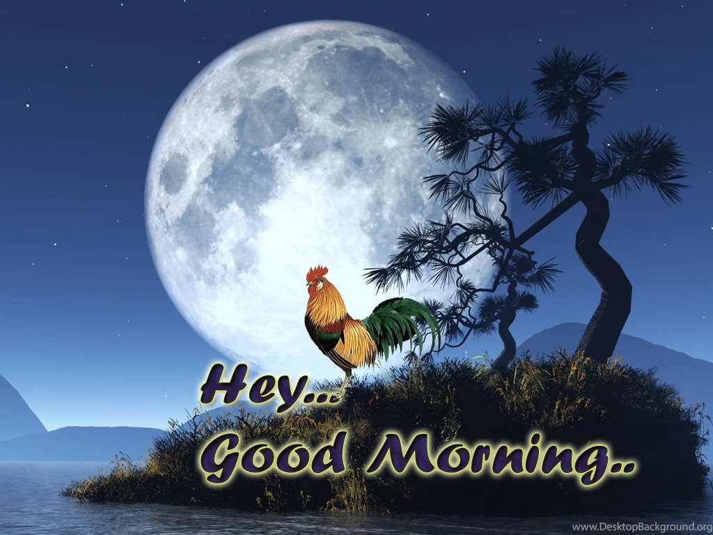 Good Morning Backgrounds Wallpapers