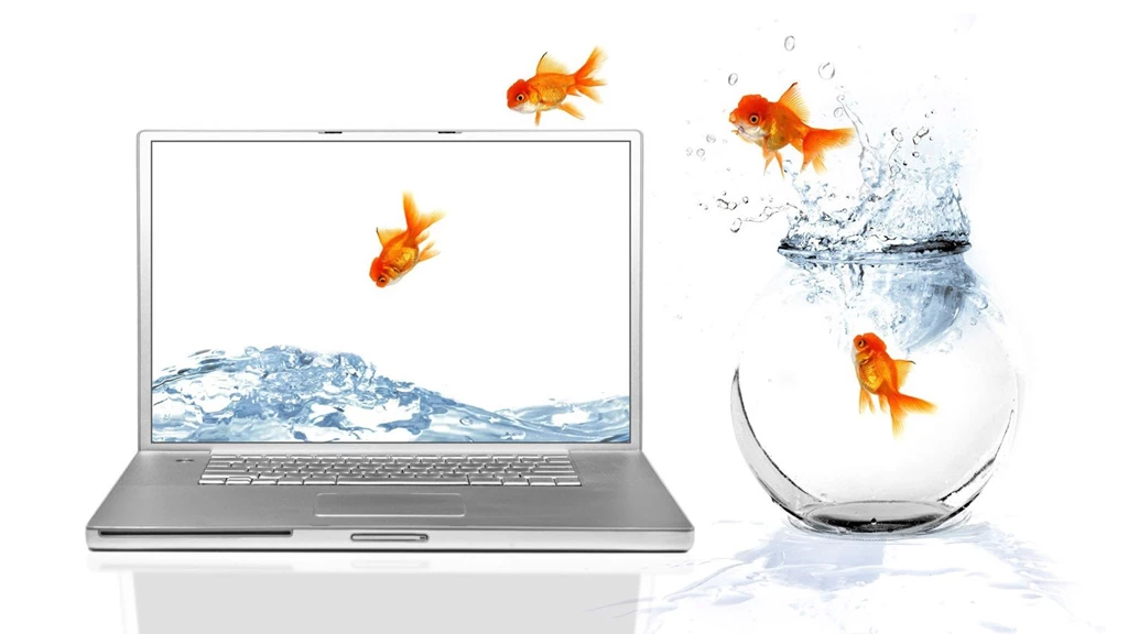 CRAZY JUMPING GOLDFISH Computer Bowl Screen Fish Wallpapers ...