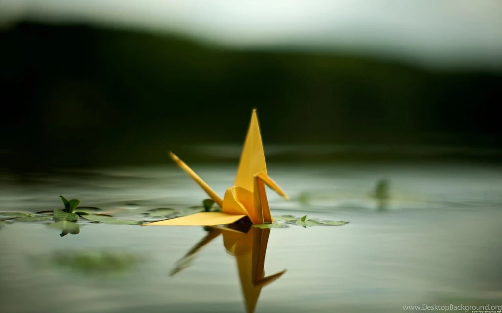 Photographic Wallpaper, Pictures, Photos, Images & Pics