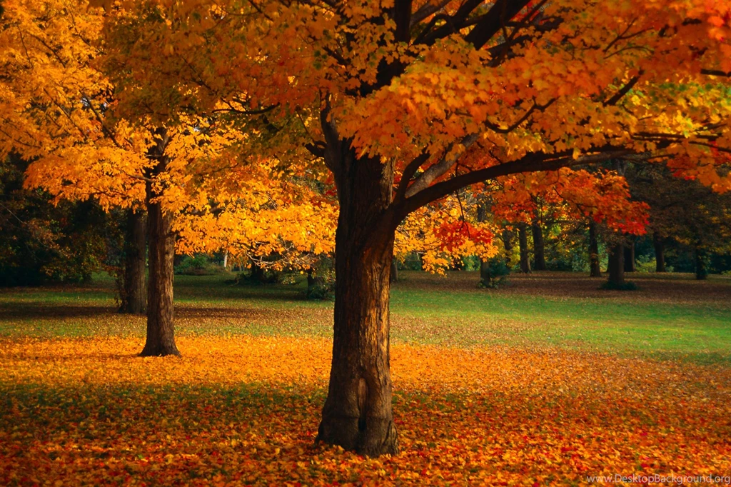 3d Wallpapers For Nature