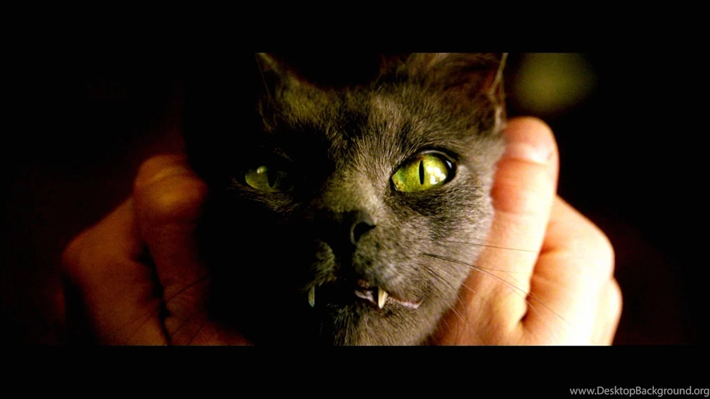 CONSTANTINE Horror Fantasy Occult Dark Cat Wallpapers