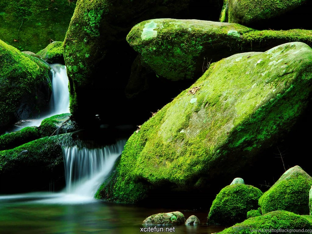 Lush Green Nature Photographic Best LCD Desktop Wallpapers ...