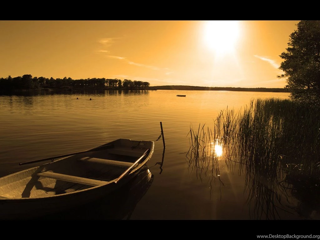 Speedy Scenery Images Hints