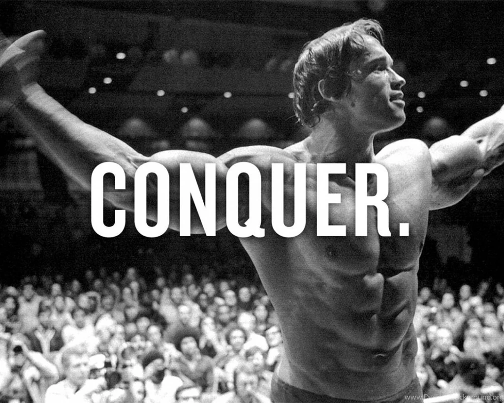 Arnold Schwarzenegger Wallpapers [2]   (