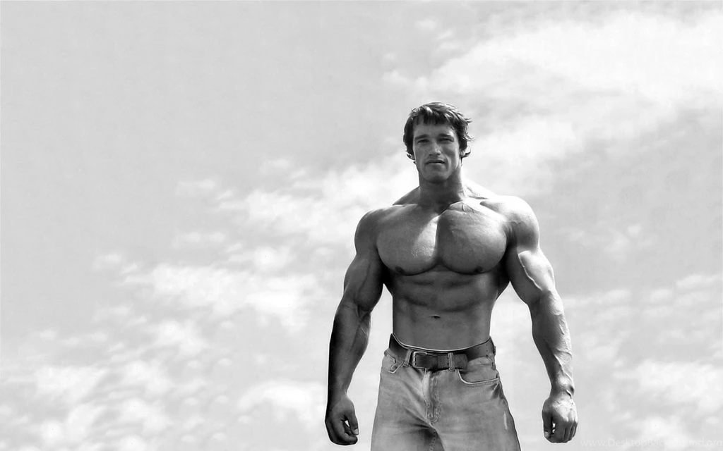 Fonds D'écran Arnold Schwarzenegger : Tous Les Wallpapers Arnold ...