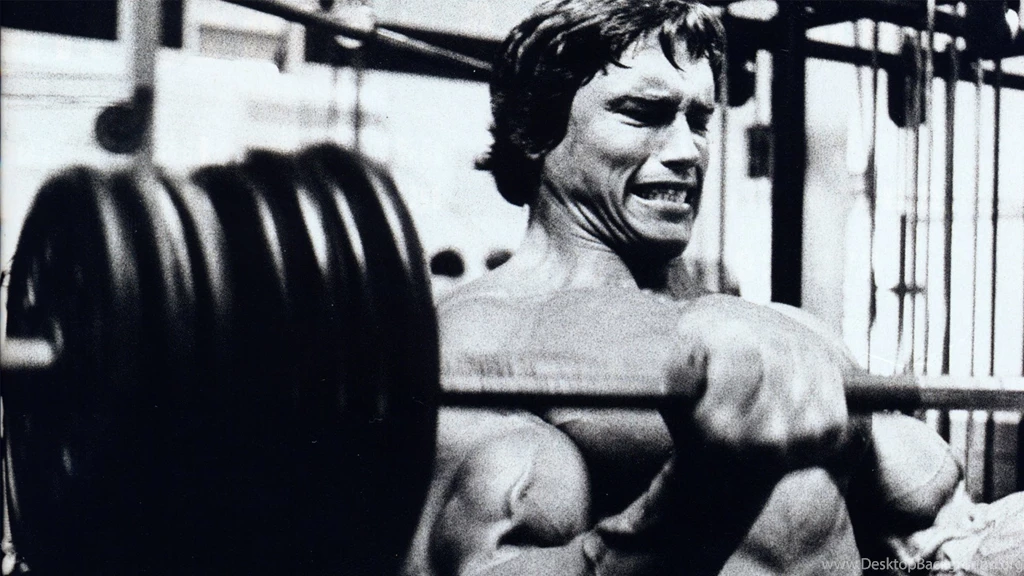Arnold Schwarzenegger Computer Wallpapers, Desktop Backgrounds ...