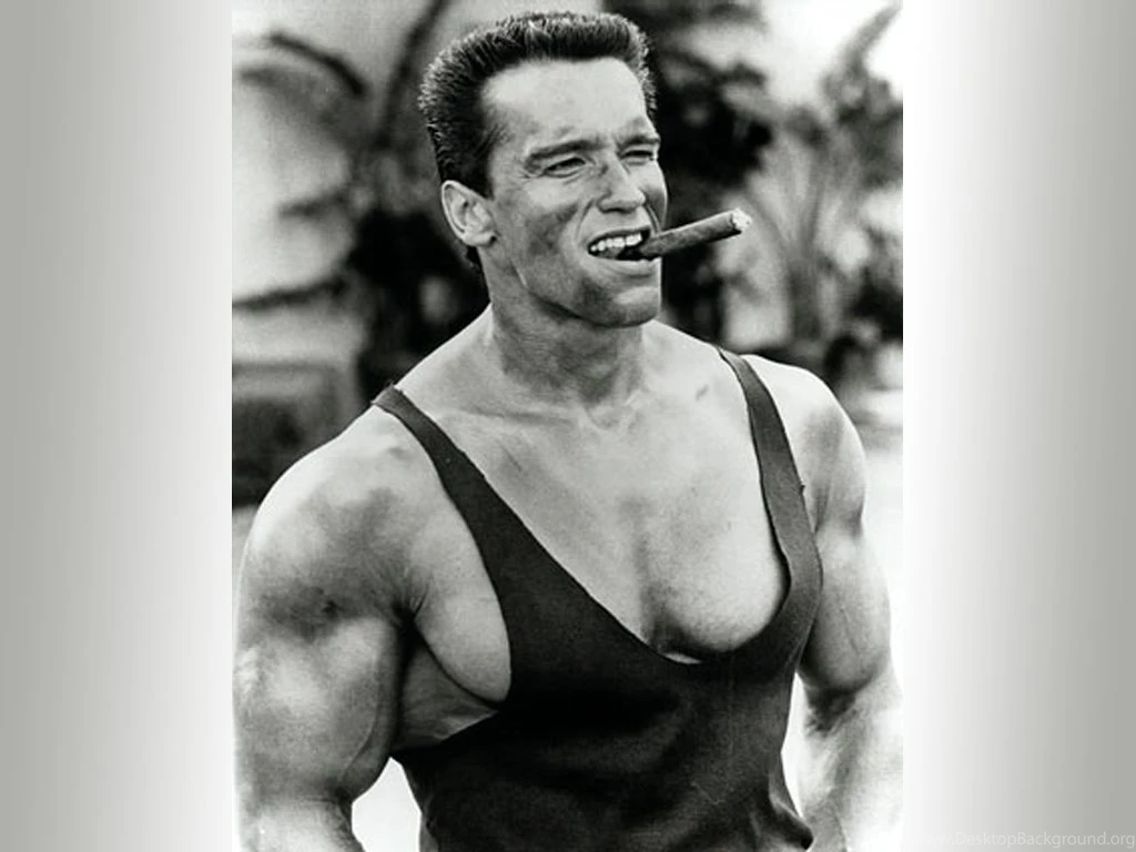 Arnold Schwarzenegger Wallpapers