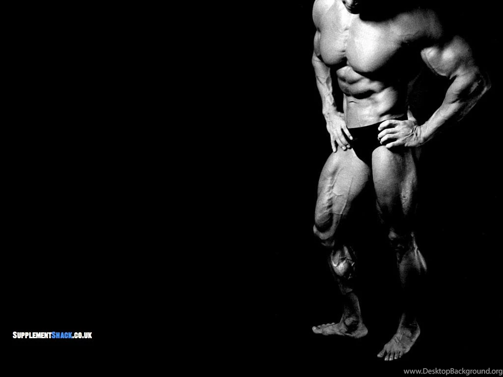 Download Free HD Wallpapers : Arnold Schwarzenegger Conquer ...