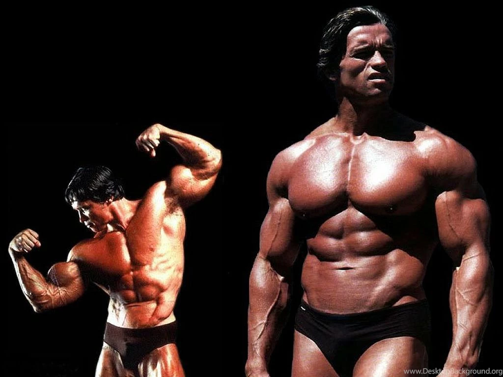 All New Pix1: Arnold Schwarzenegger Hd Wallpapers