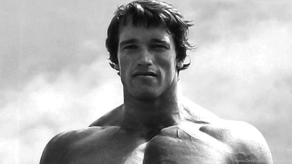 14 Quality Arnold Schwarzenegger Wallpapers, Celebrity