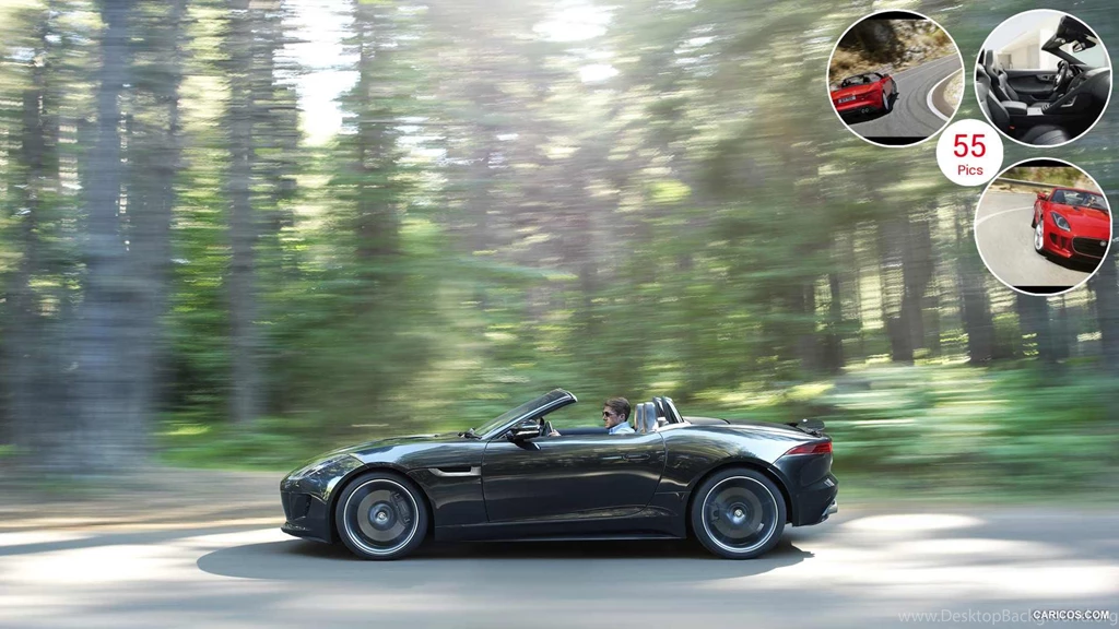 2014 Jaguar F TYPE Side