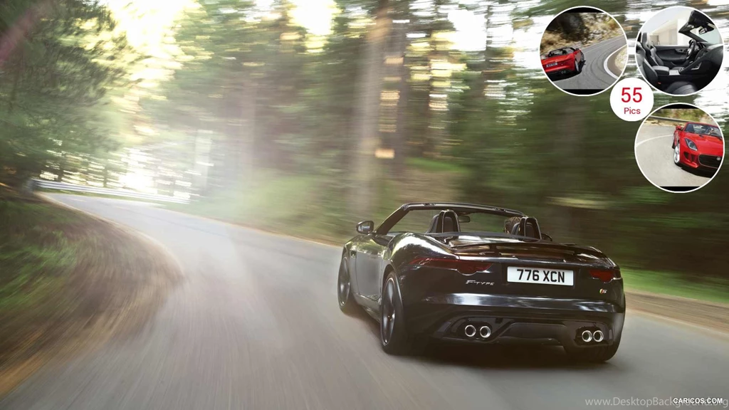 2014 Jaguar F TYPE Rear