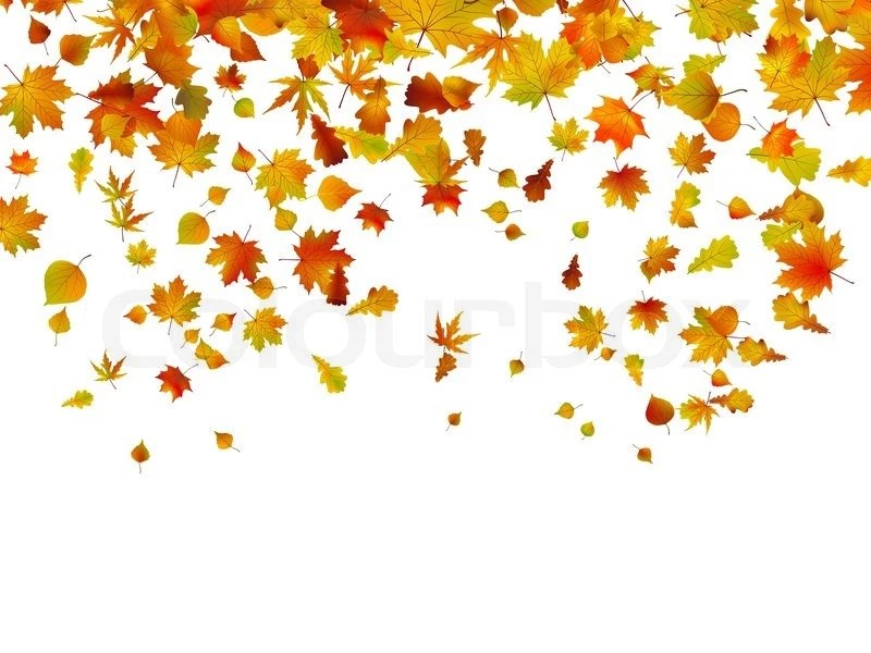 Backgrounds Of Autumn Leaves. EPS 8 Vector File Included