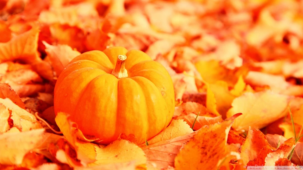 Fall Leaves And Pumpkins Backgrounds