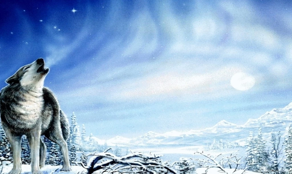 Dog Backgrounds, Best Friend, Lovely Dog Images, Dog Eye ...