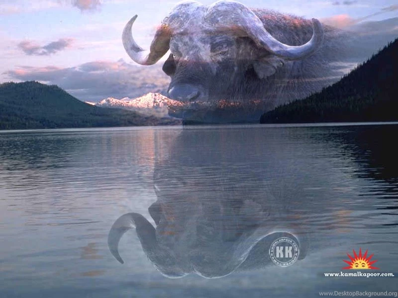 Fantasy Wallpapers, Beautiful Fantasy Wallpapers, Free Fantasy ...